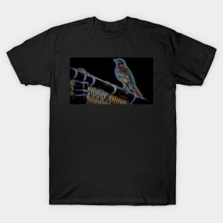 Rockin' Robin T-Shirt